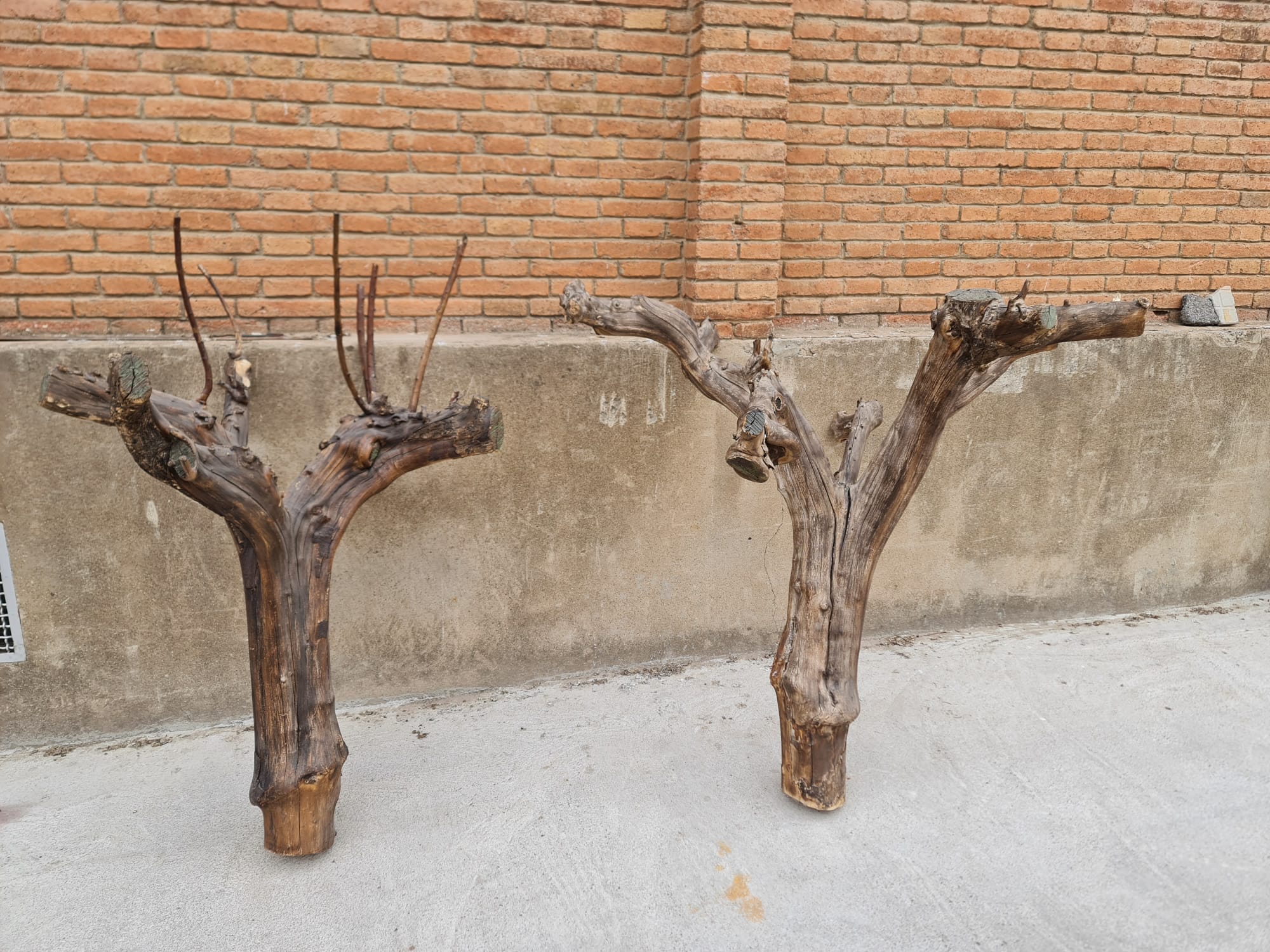 tronco deriva 150x145 -167x107x21 o25 2u